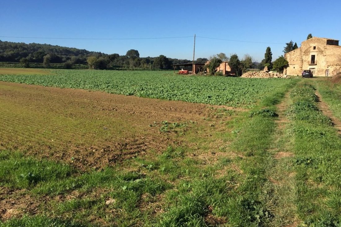 Finca in Corca, Catalonia, Spain 3 - 14818528