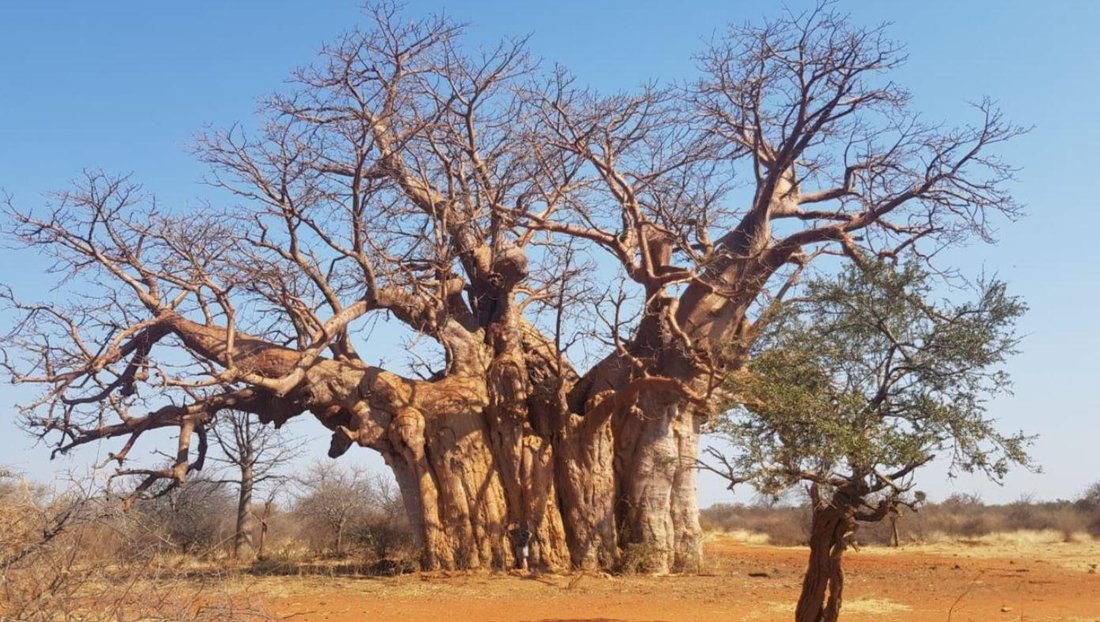Rancho en Swartwater, Provincia de Limpopo, Sudáfrica 2 - 14819480