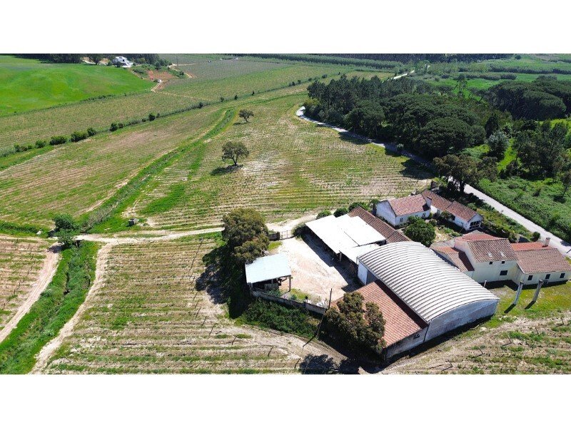 Quinta De Vinhas, Next To The Lagoon In Nadadouro, Leiria District