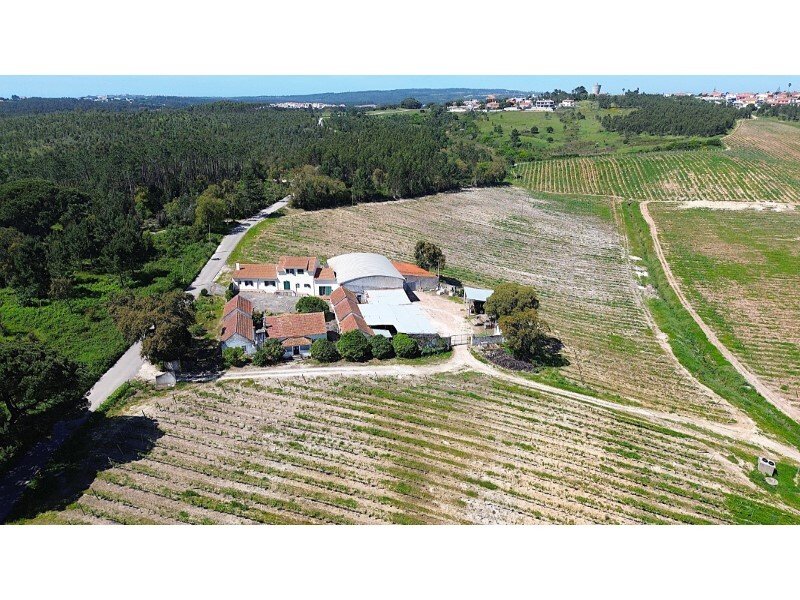 Quinta De Vinhas, Next To The Lagoon In Nadadouro, Leiria District