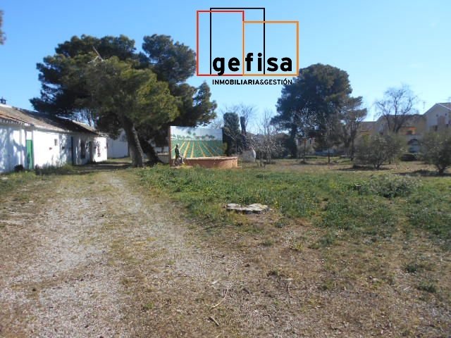 Land in Valdepeñas, Kastilien-La Mancha, Spanien 2 - 14812541
