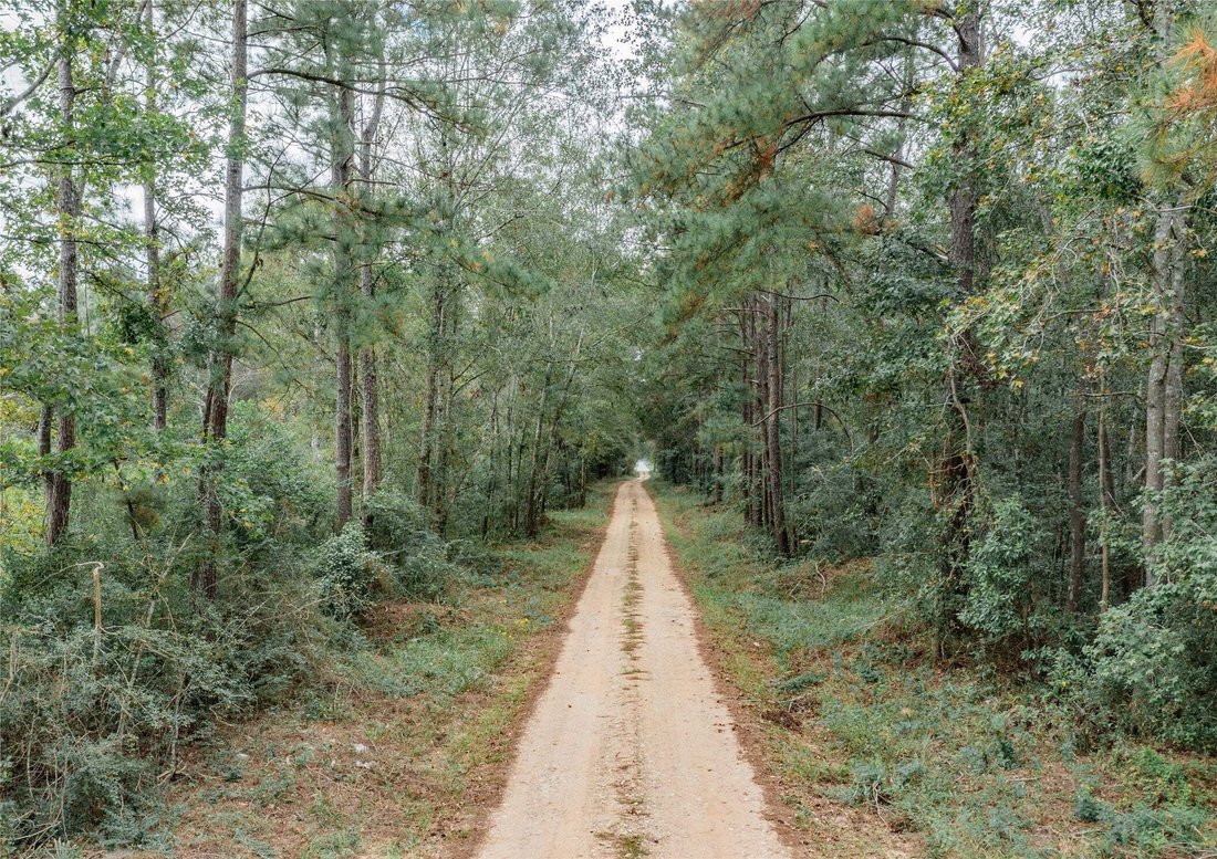 Land in Plum Grove, Texas, United States 3 - 14821623