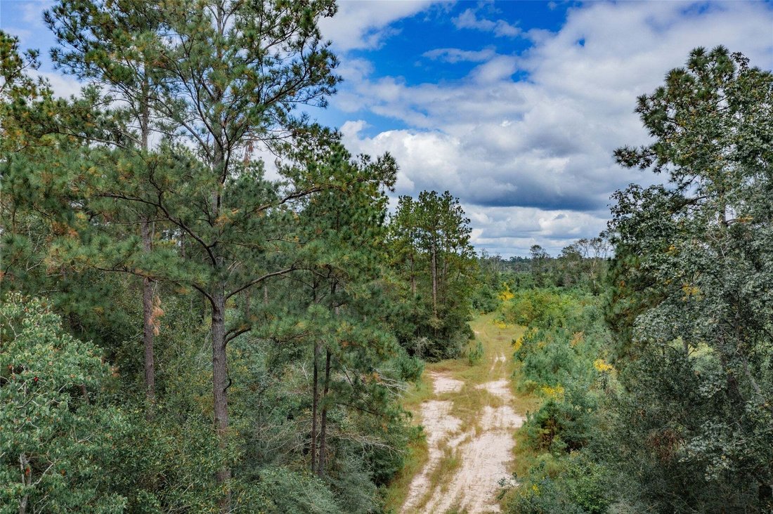 Land in Plum Grove, Texas, United States 4 - 14821623
