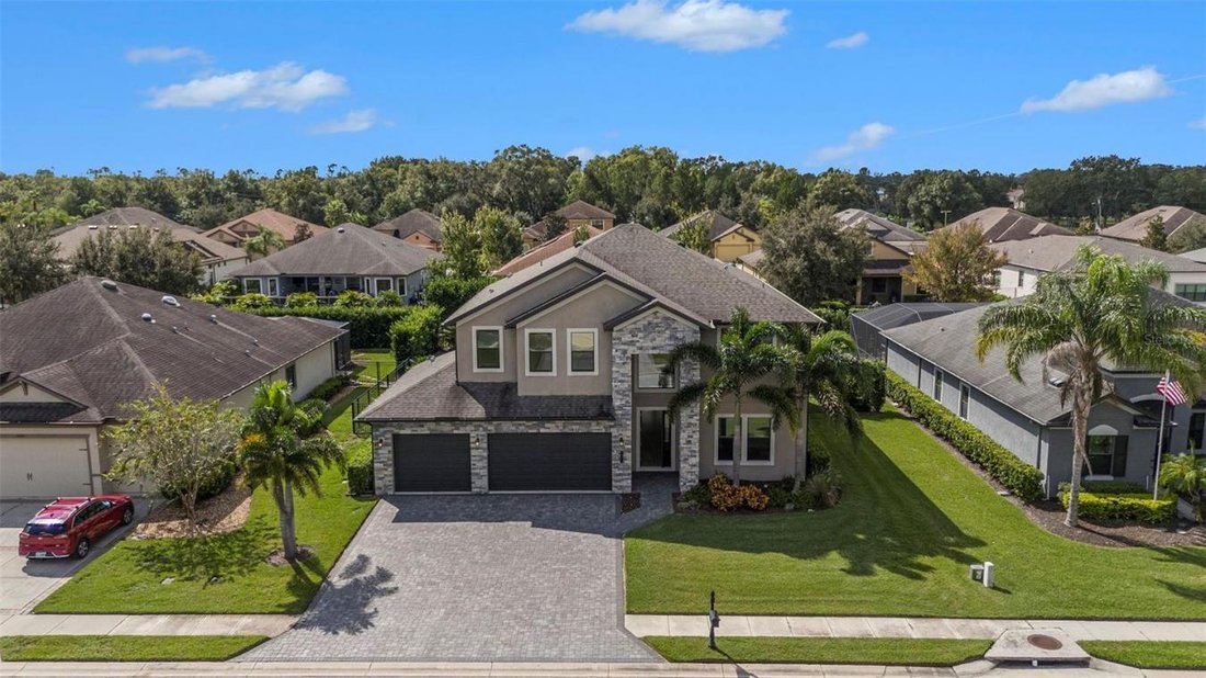 4807 Lago Vista Circle In Land O' Lakes, Florida, United States For