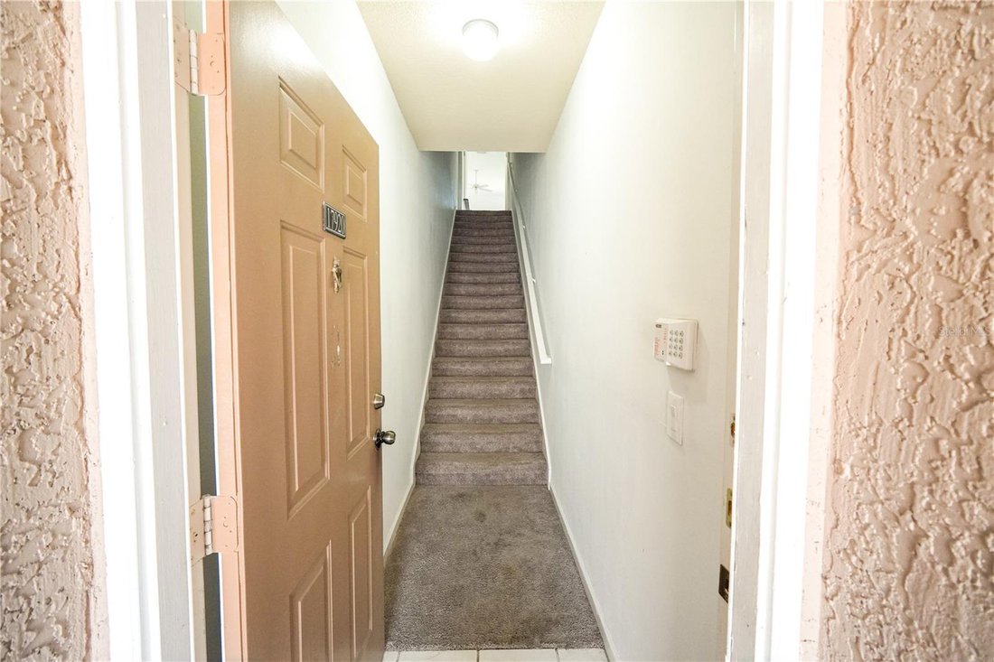 Condo Tampa In Tampa, Florida, United States For Rent (14822393)