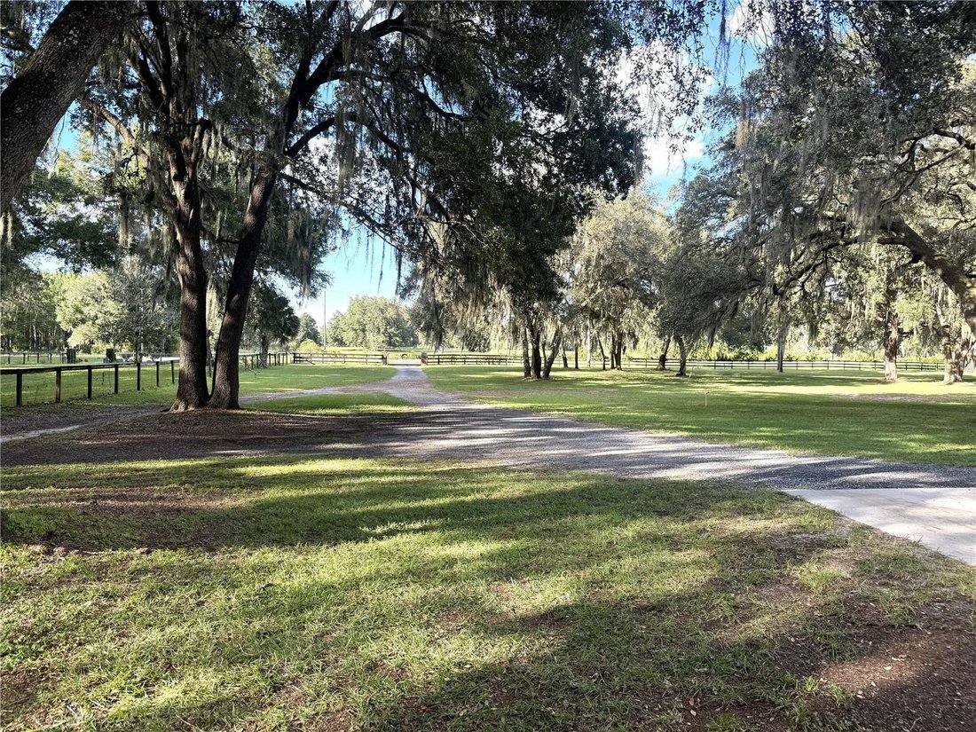 Farm And Agriculture Citra In Anthony, Florida, United States For Sale