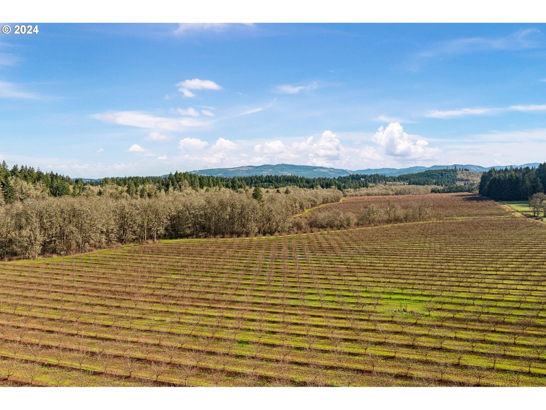 Residential Lebanon In Lebanon, Oregon, United States For Sale (14823808)