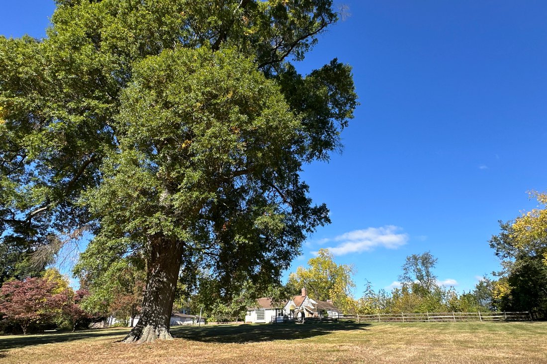 Create Your Own Compound With In Lawrence Township, New Jersey, United