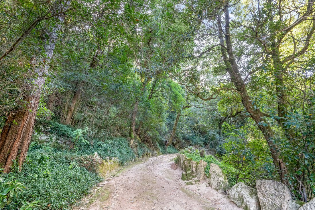 Villa in Sintra, Lisbon, Portugal 3 - 14832299