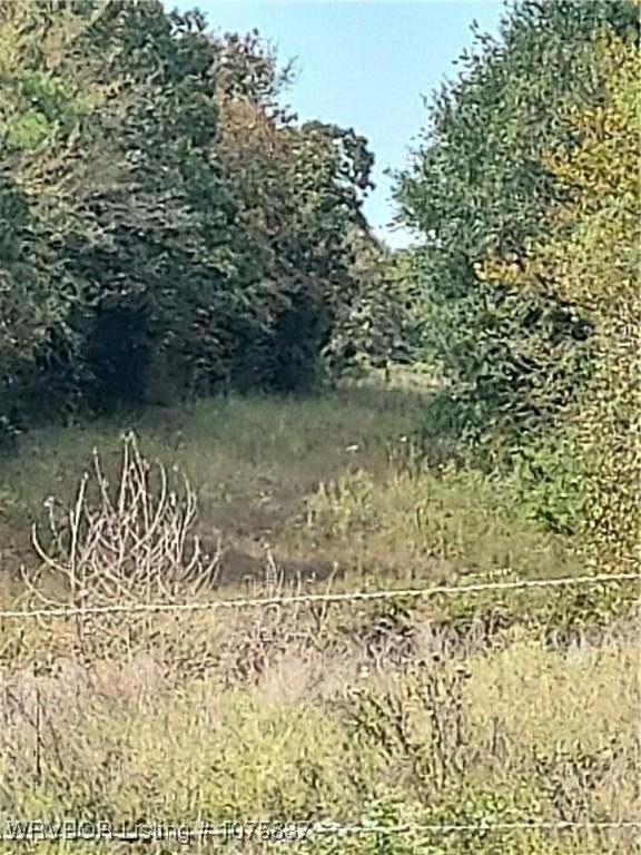 Land in Le Flore, Oklahoma, United States 3 - 14826493