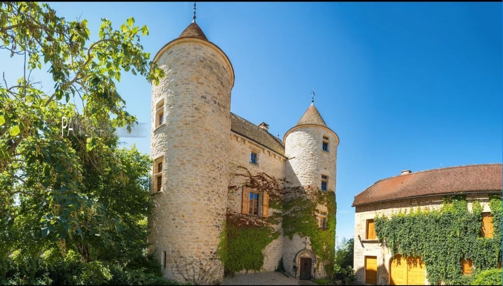 Renovated 16th Century Chã¢Teau In Saint Antonin Noble Val, Occitanie