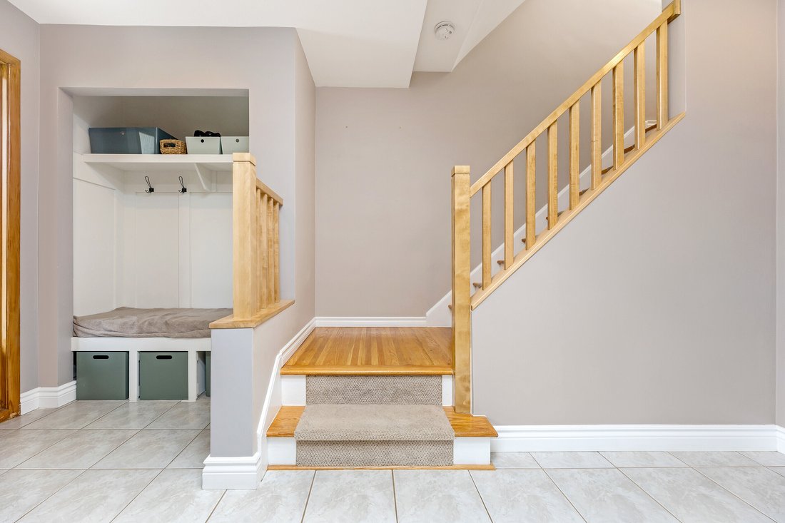 Vincent In Hamilton, Ontario, Canada For Sale (14826635)