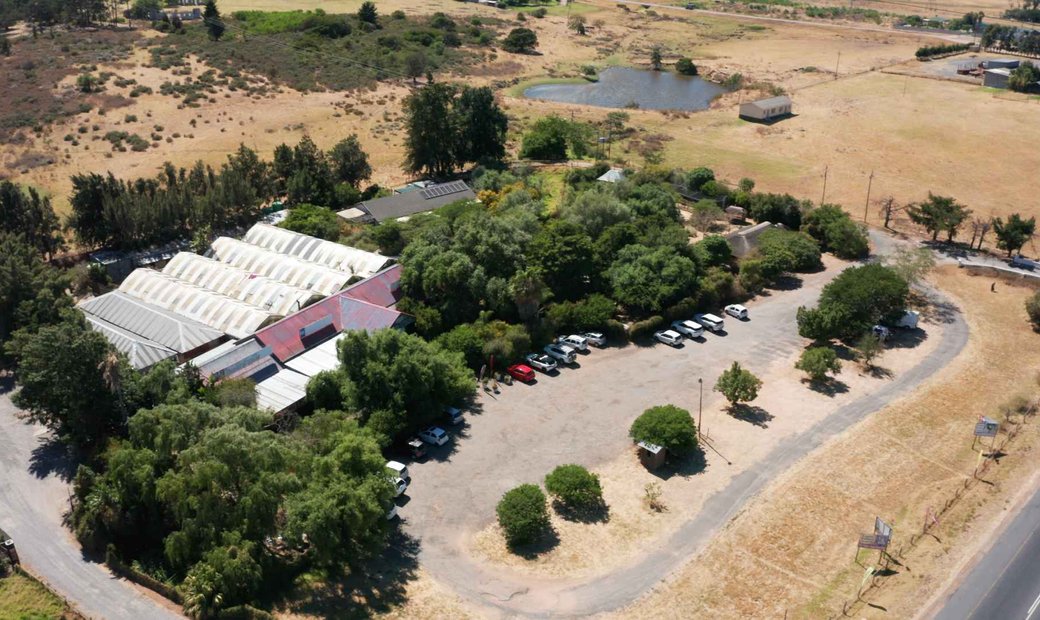 Exotic Animal World In Stellenbosch, Western Cape, South Africa For