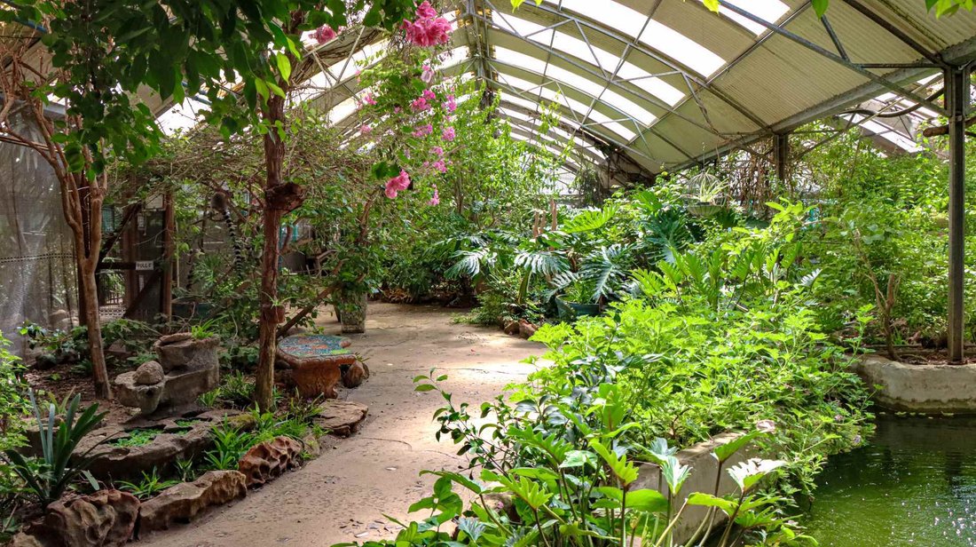 Exotic Animal World In Stellenbosch, Western Cape, South Africa For