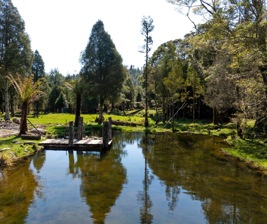 Awakiri River, Charleston In Awakeri, Bay Of Plenty, New Zealand For