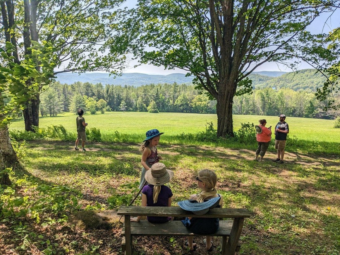Hermit Thrush In Tunbridge, Vermont, United States For Sale (14830569)