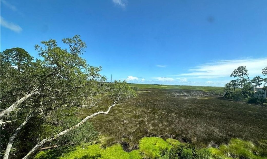 Brand New Marsh Front Home In The Sea In St. Simons, United