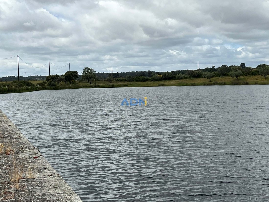 Farm Ranch in Uniao do Grande Fundao, Castelo Branco District, Portugal 2 - 14826850