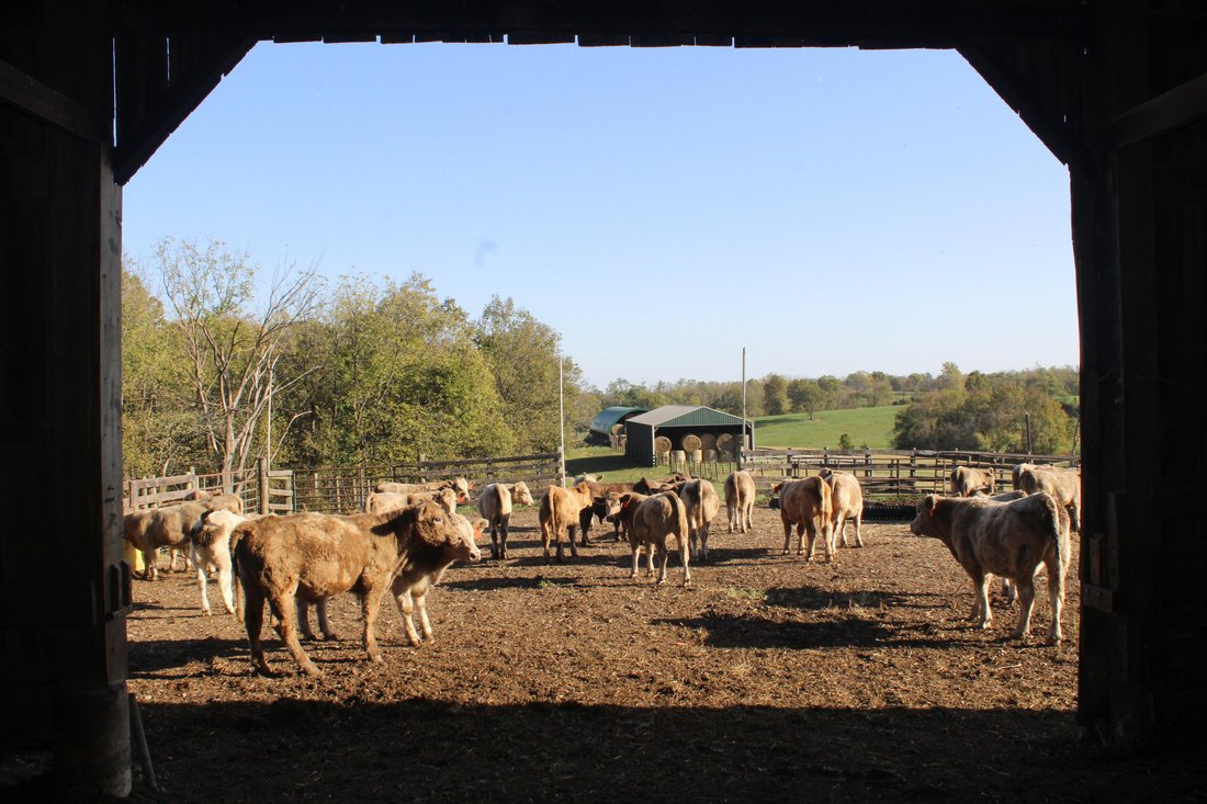 Farm And Agriculture In Kentucky, United States