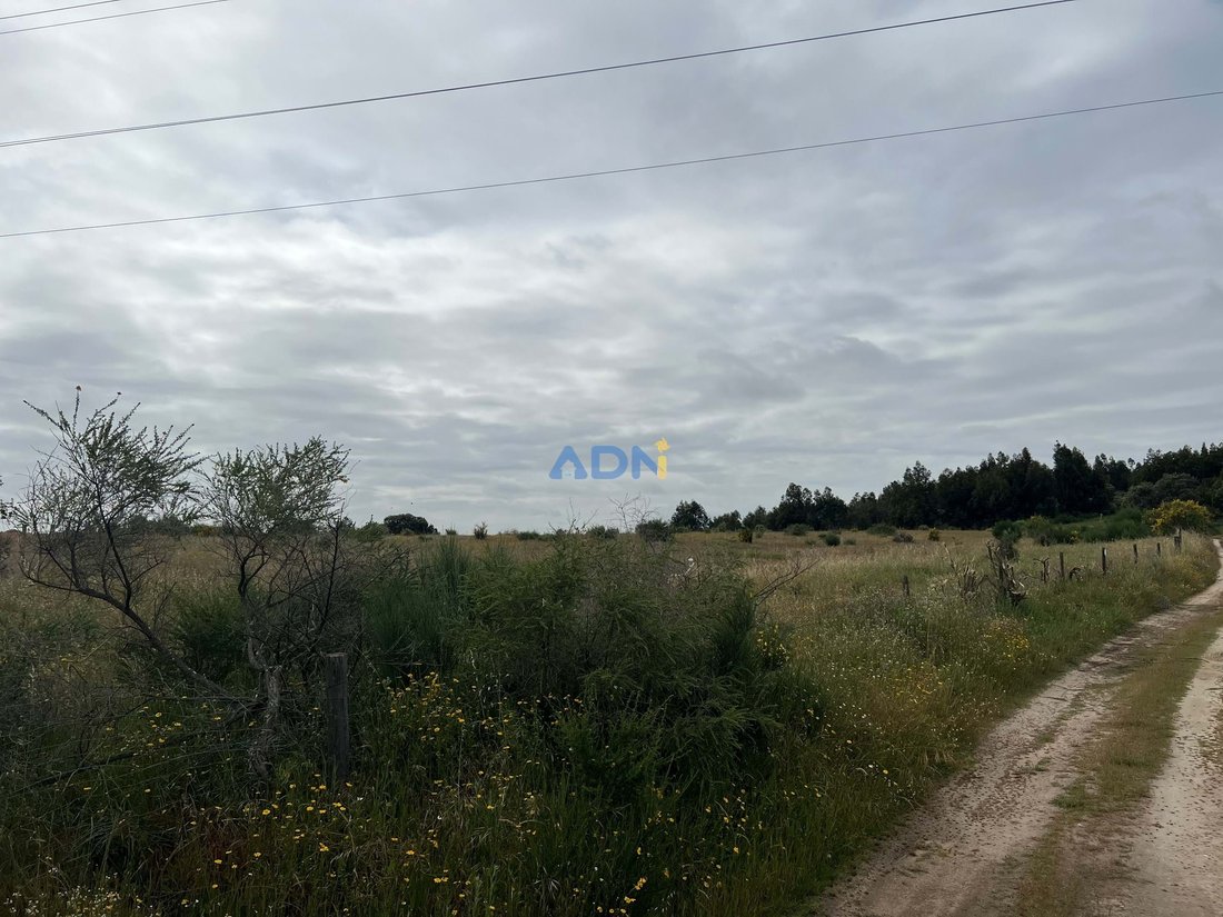 300 Ha Of Land With Private Dam, Olive Grove And Cork Oak In Fundão