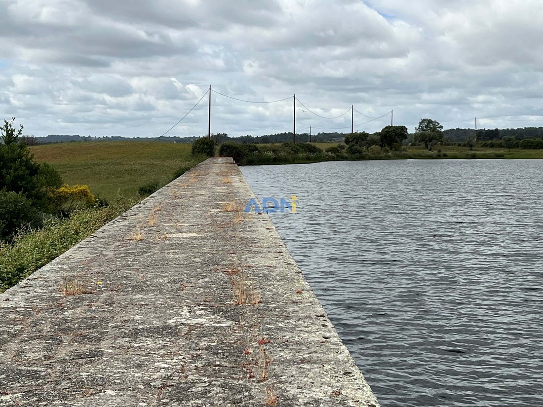 300 Ha Of Land With Private Dam, Olive Grove And Cork Oak In Fundão