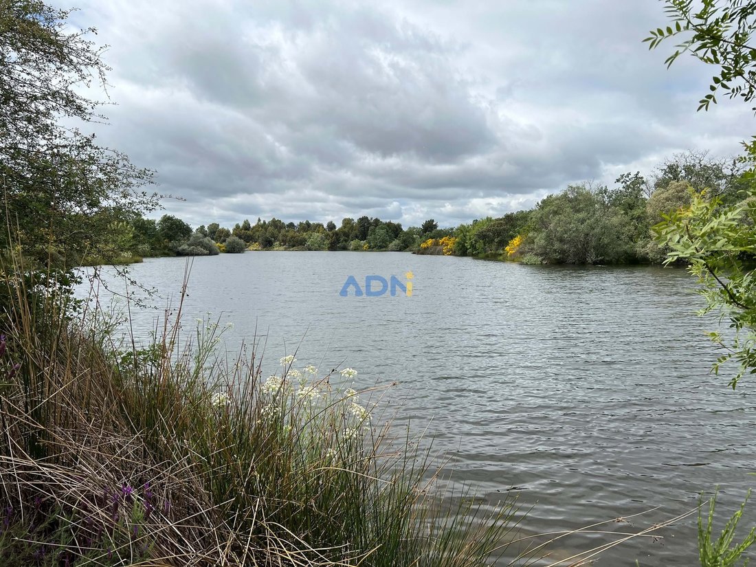 300 Ha Of Land With Private Dam, Olive Grove And Cork Oak In Fundão