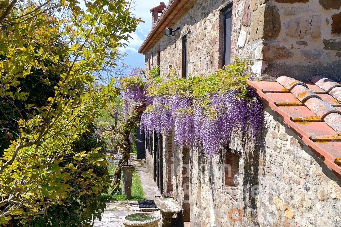 Domaine à Montegabbione, Ombrie, Italie 1 - 13282086