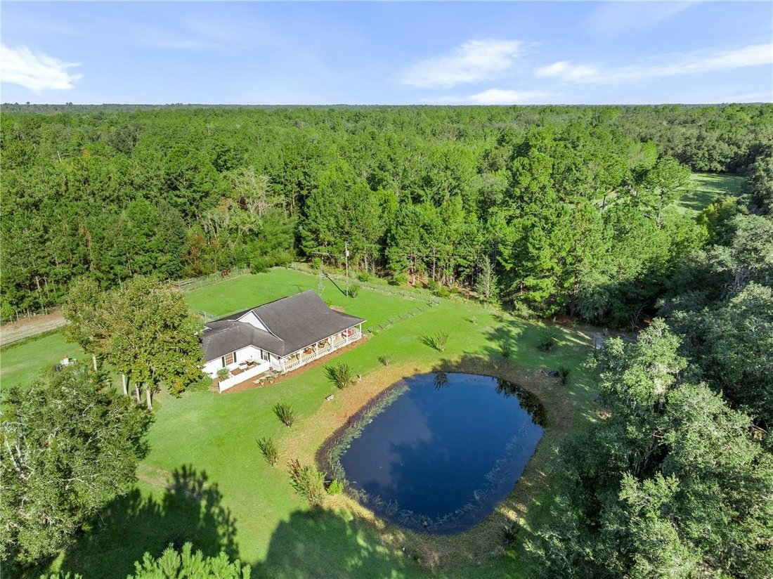 House in Gainesville, Florida, United States 2 - 14831308