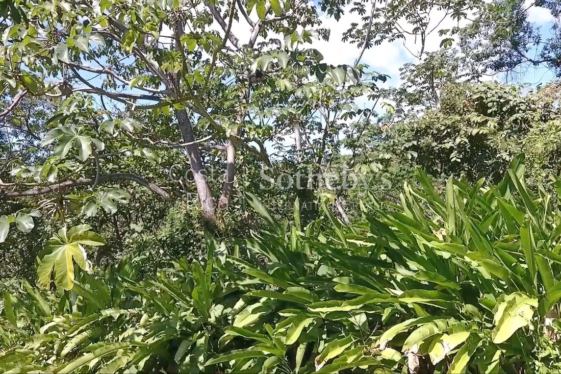 Cabuya Ocean View Development Land In Santa Fe, Puntarenas Province