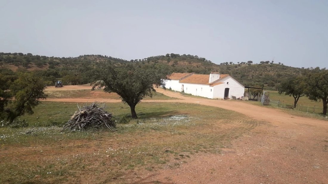 Farm Ranch in Portel, Évora District, Portugal 5 - 14832142