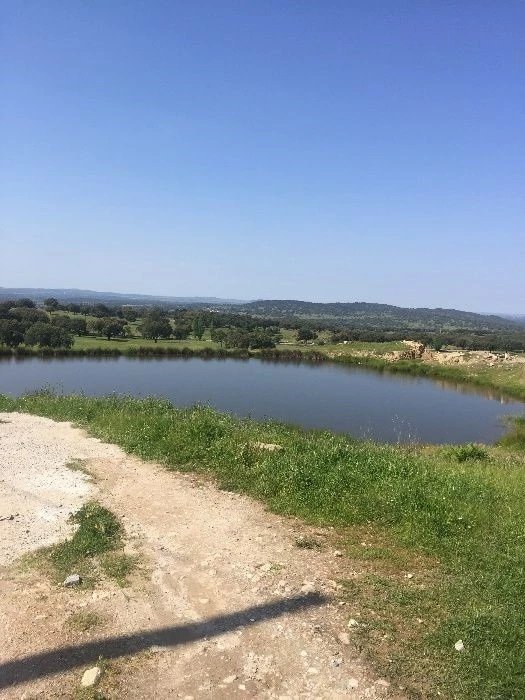 Farm Ranch in Se e Sao Lourenco, Portalegre District, Portugal 3 - 14832470