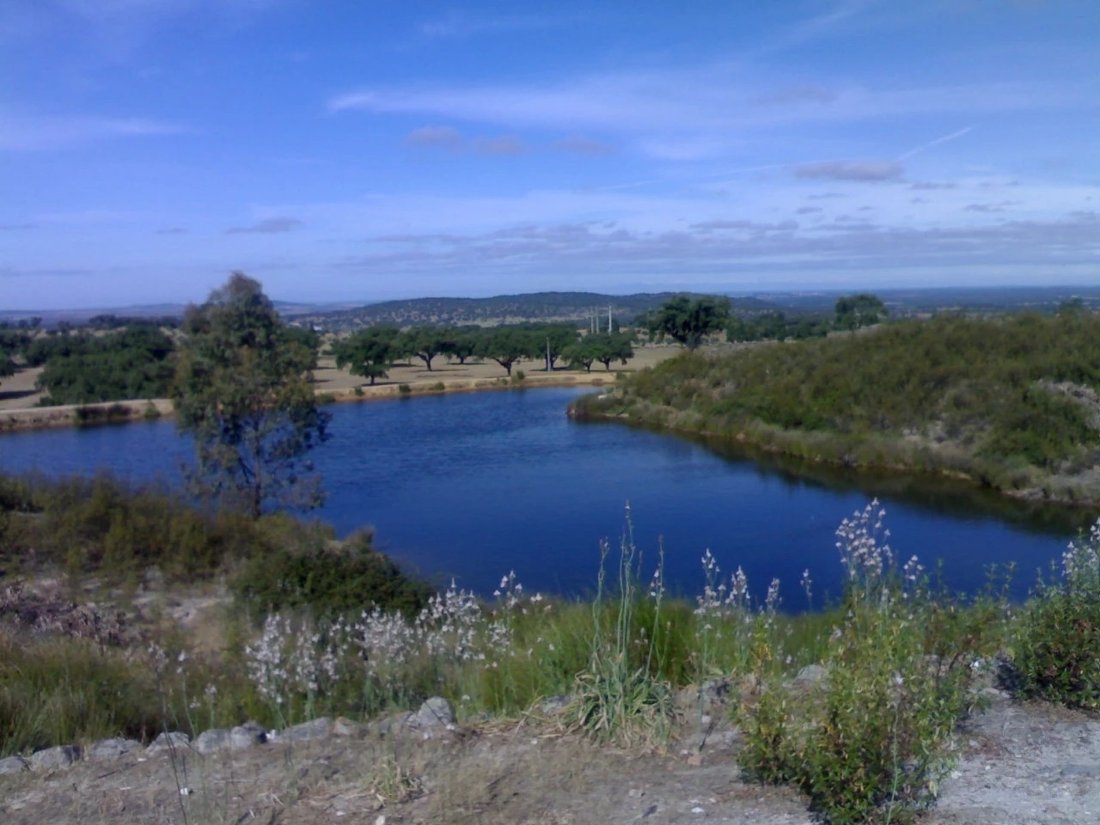 Farm Ranch in Se e Sao Lourenco, Portalegre District, Portugal 2 - 14832470