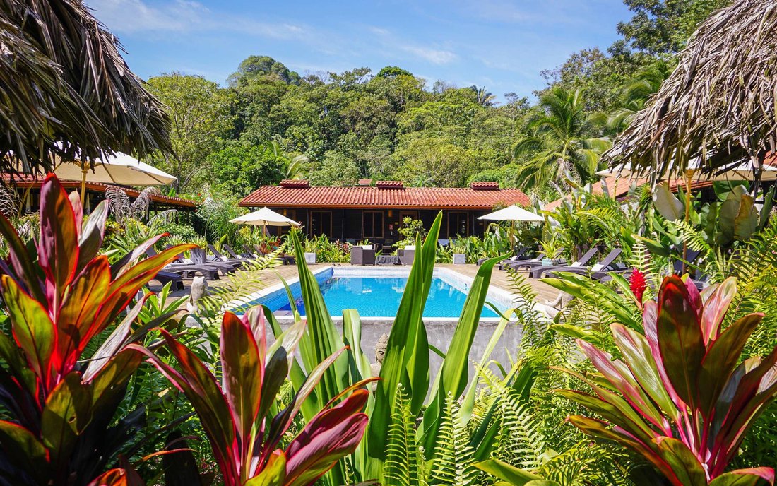 Estate in Bocas del Toro, Bocas del Toro Province, Panama 3 - 14840179