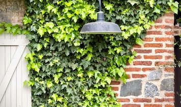 Finca à José Ignacio, Maldonado, Uruguay 1