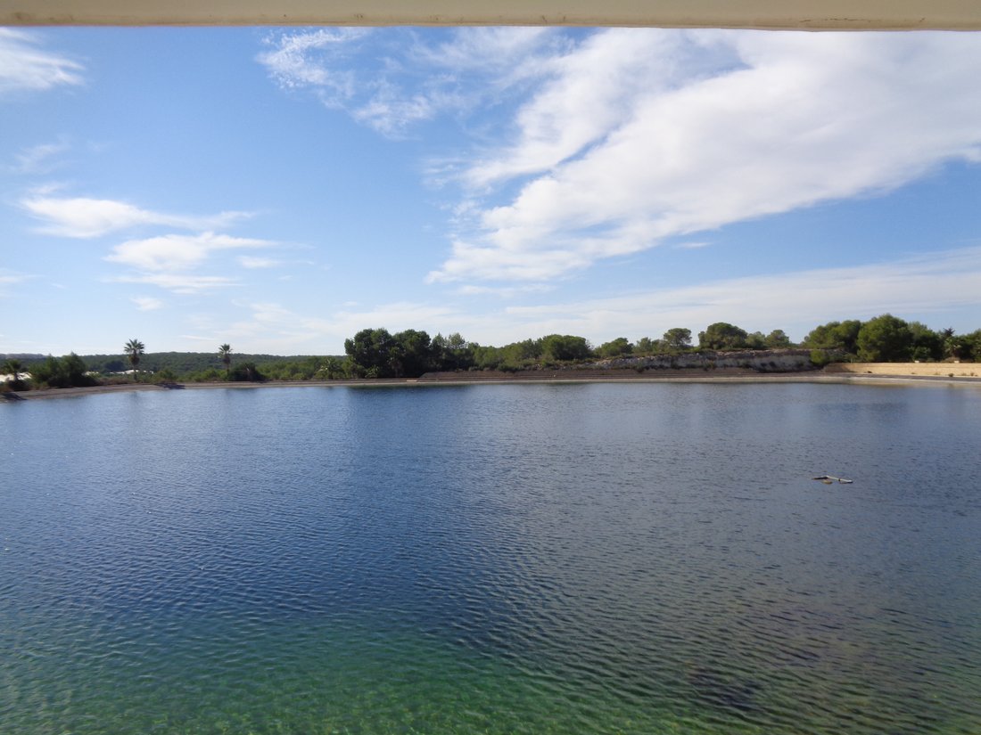 Villa in Torrevieja, Valencian Community, Spain 3 - 14836037
