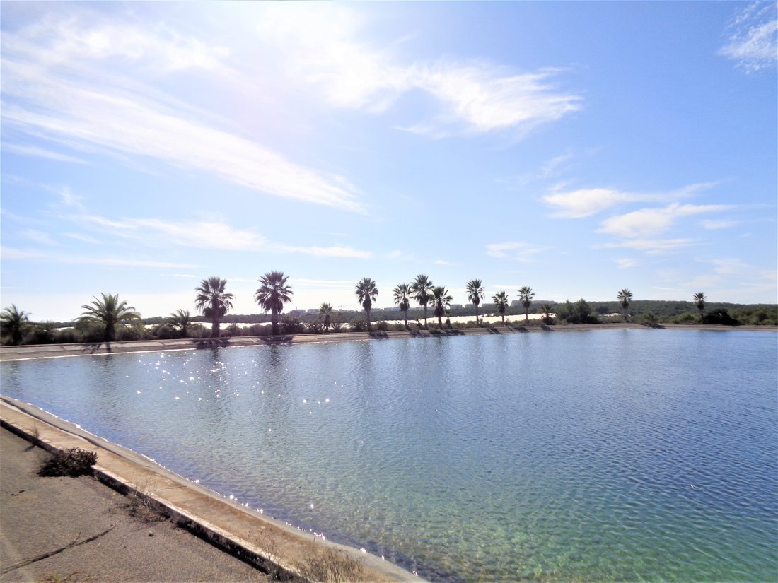 Villa in Torrevieja, Valencian Community, Spain 2 - 14836037