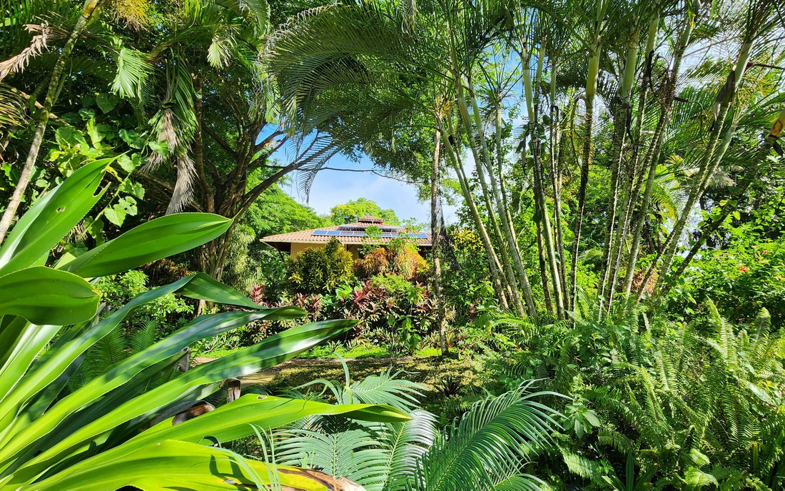 Bluff Beach Retreat In Bocas Del Toro, Bocas Del Toro Province, Panama