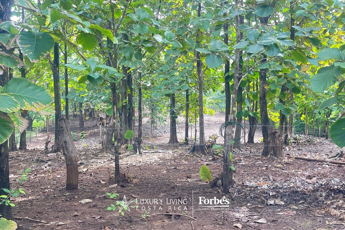 Land in Playa Avellana, Guanacaste Province, Costa Rica 4 - 14832770