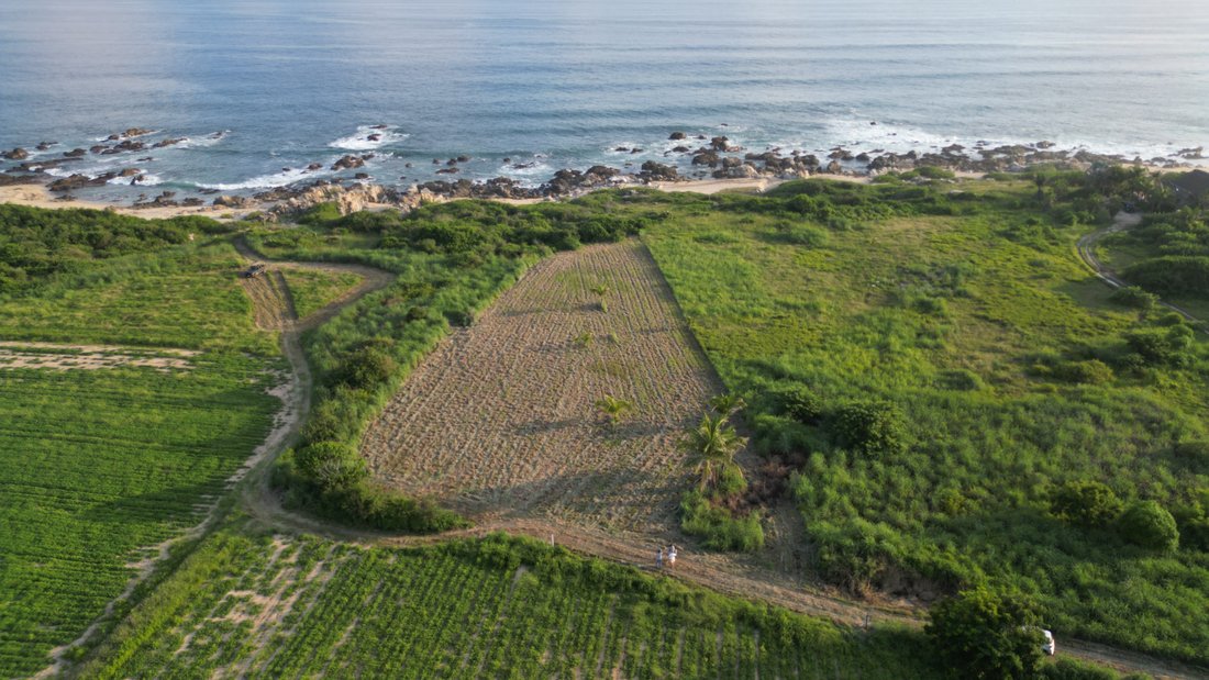 Prime Oceanfront Land For Luxury In Santa Elena El Tule, Oaxaca, Mexico
