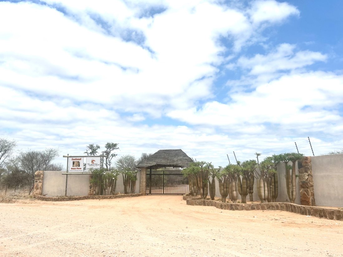 Game Farm For Sale In Alldays, Limpopo, South Africa For Sale (14840765)
