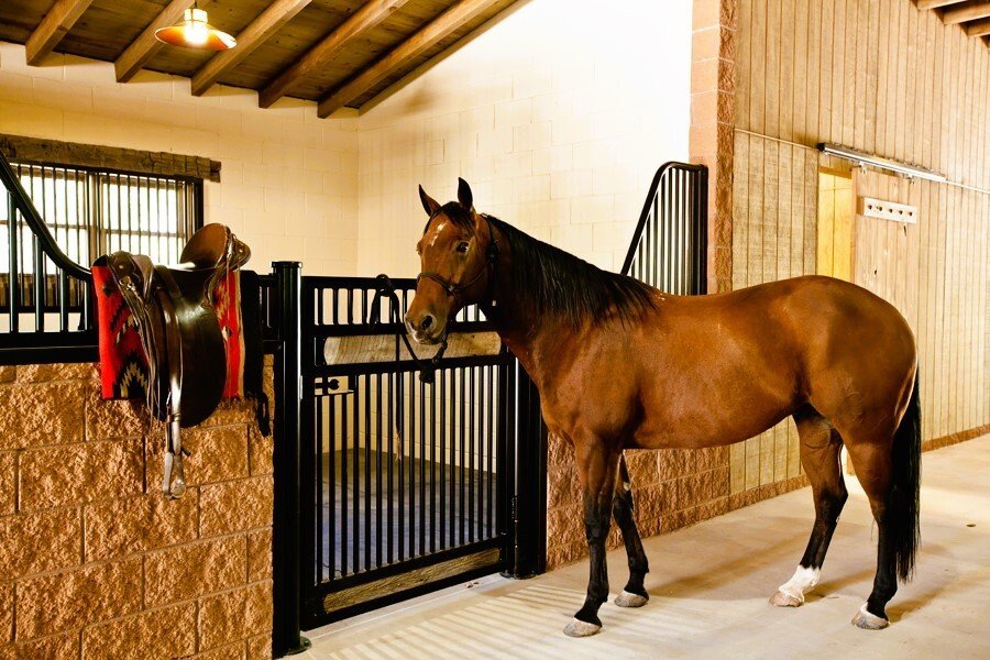 Farm And Agriculture Ojo Caliente In Medanales, New Mexico, United