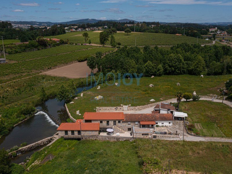 5 Bedroom Farm In Vale Do Sousa In Penafiel, Porto District, Portugal