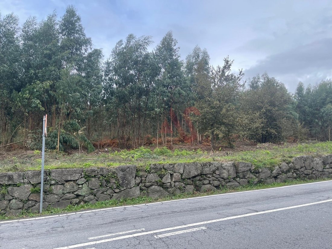 Land in Nespereira e Casais, Porto District, Portugal 4 - 14835301
