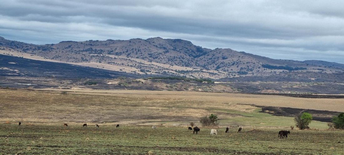 Farm Ranch in eManzana, Mpumalanga, South Africa 1 - 14841002