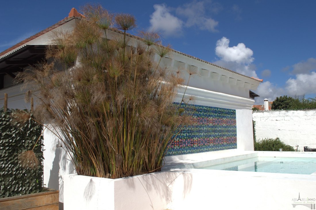 Villa in Grandola e Santa Margarida da Serra, Setubal, Portugal 1 - 14134524