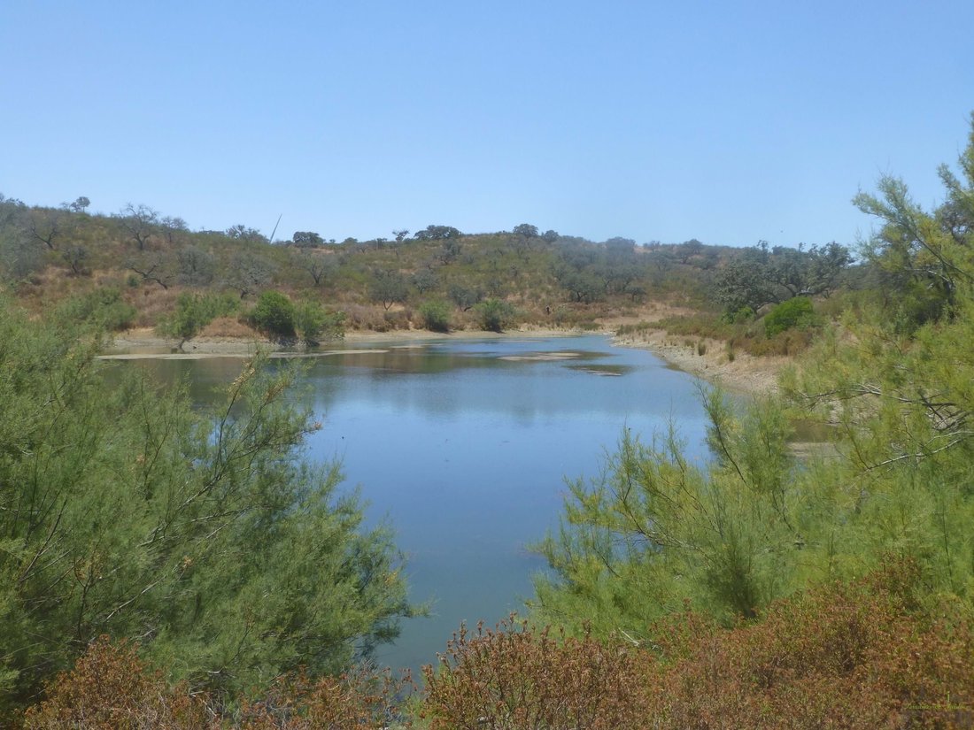 Farm Ranch in San Silvestre de Guzman, Andalusia, Spain 4 - 14357018