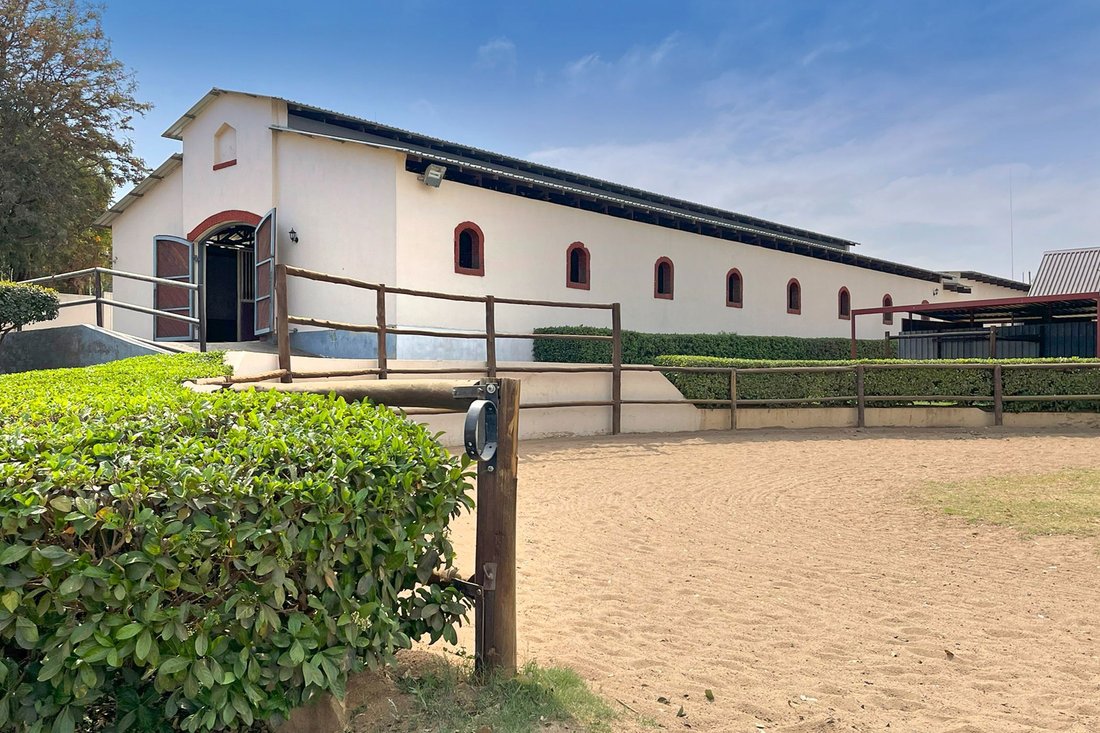 Equestrian Business Opportunity In Midrand, Gauteng, South Africa For