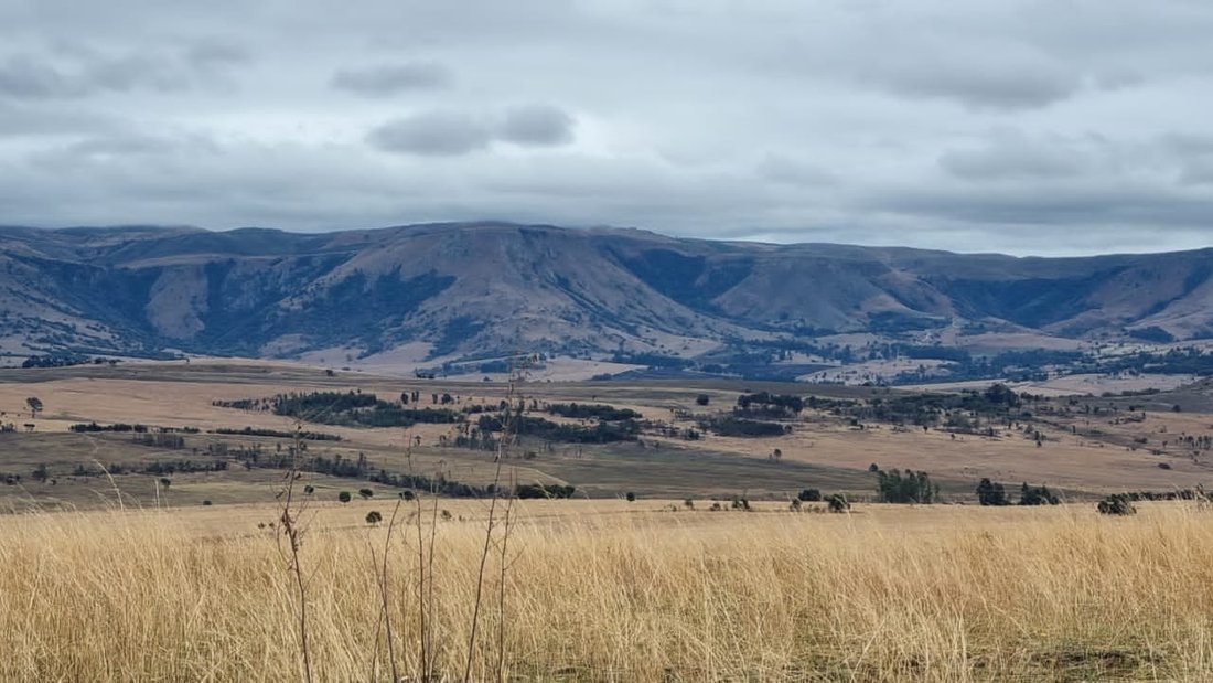 Farm Ranch in eManzana, Mpumalanga, South Africa 5 - 14841002