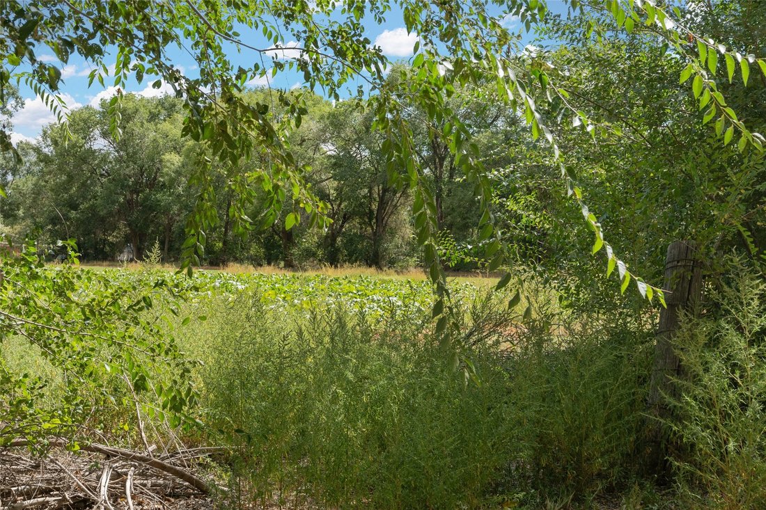 Farm Ranch in Corrales, New Mexico, United States 5 - 14836026