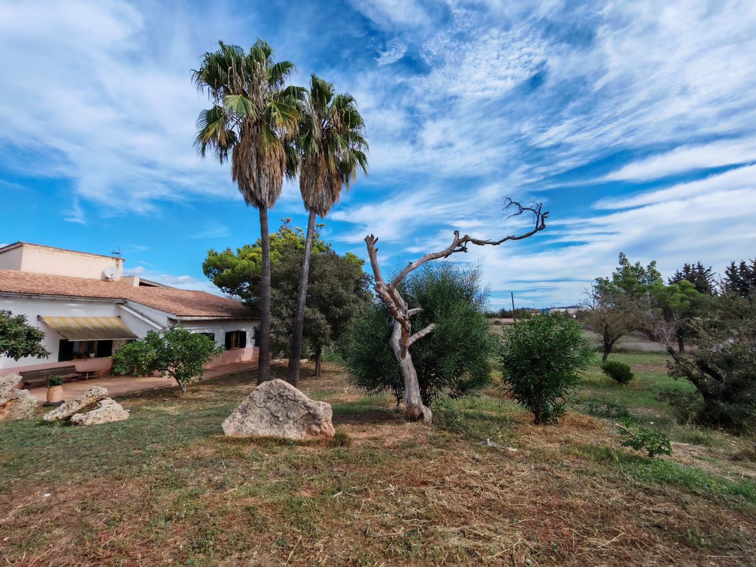 Finca in Inca, Balearic Islands, Spain 4 - 14833709